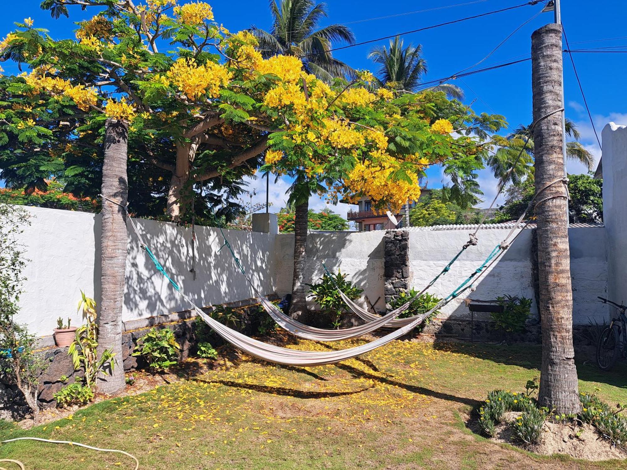 Hostal Tero Real Puerto Villamil Exterior photo